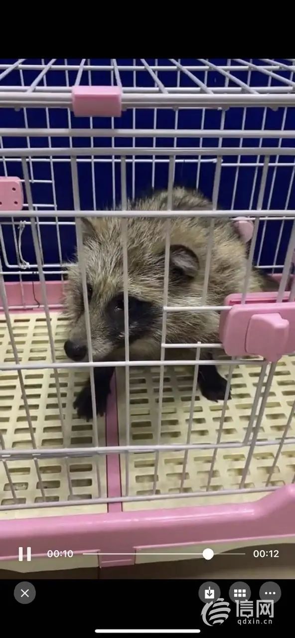DƬ